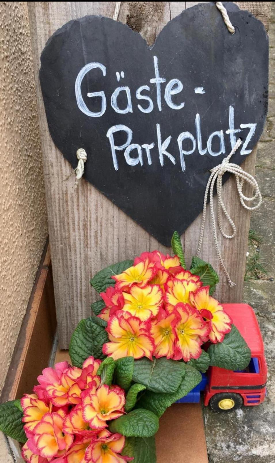 Apartment Mit Gartenblick Eckersdorf Exteriér fotografie